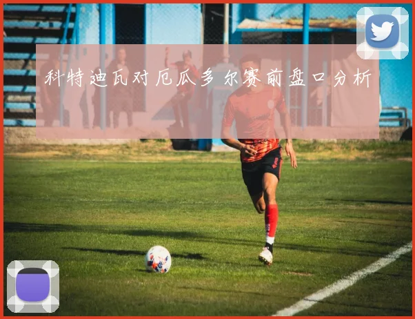 科特迪瓦对厄瓜多尔赛前盘口分析