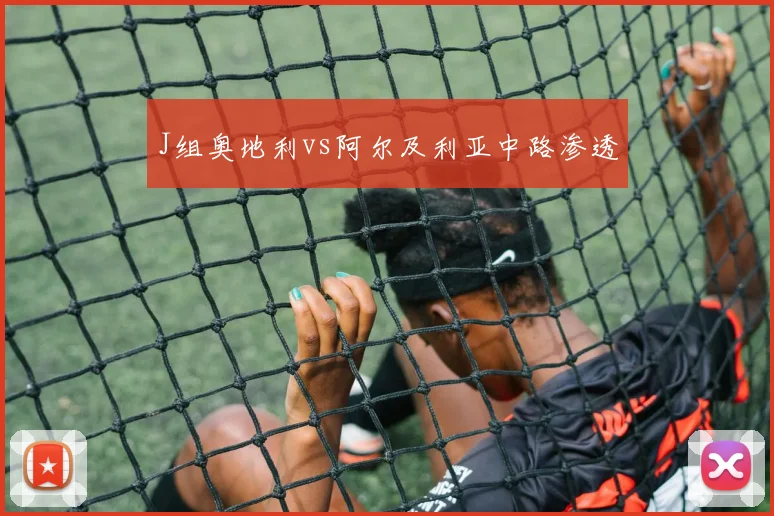 J组奥地利vs阿尔及利亚中路渗透