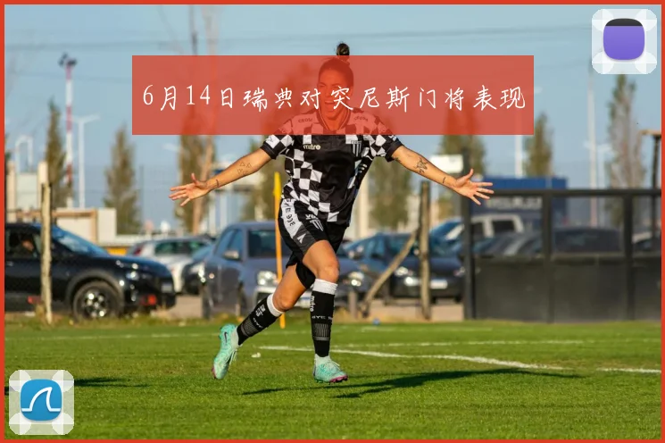 6月14日瑞典对突尼斯门将表现