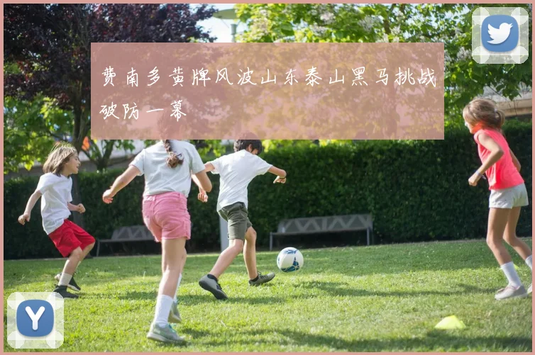 费南多黄牌风波山东泰山黑马挑战破防一幕