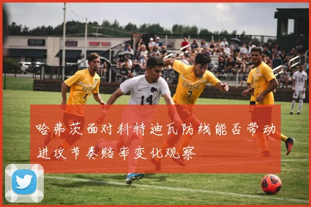 哈弗茨面对科特迪瓦防线能否带动进攻节奏赔率变化观察