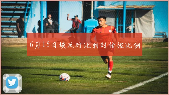 6月15日埃及对比利时传控比例