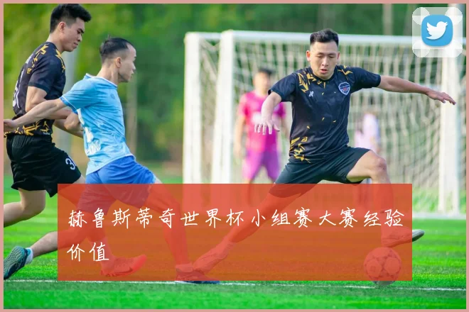 赫鲁斯蒂奇世界杯小组赛大赛经验价值