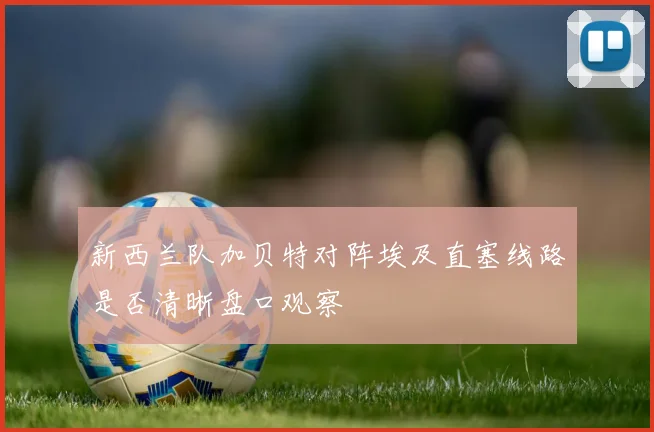 新西兰队加贝特对阵埃及直塞线路是否清晰盘口观察