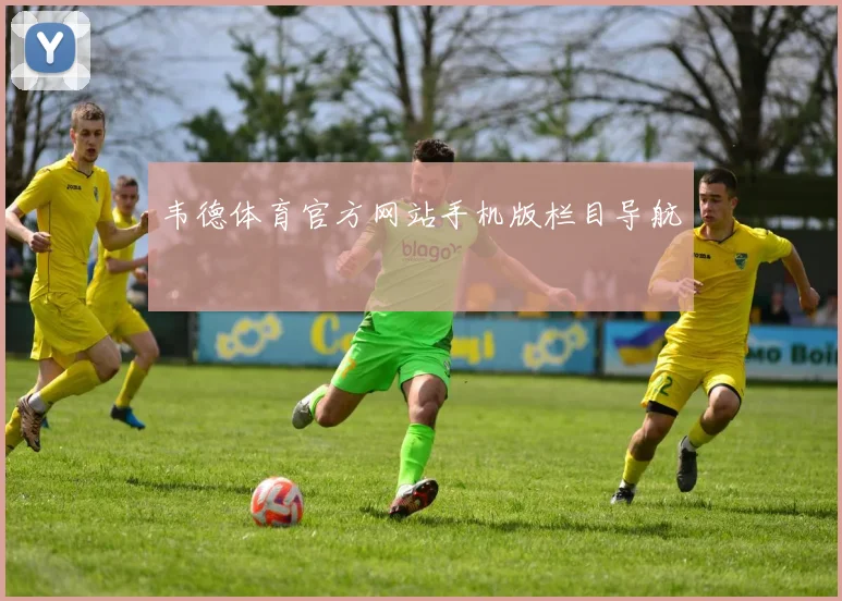 韦德体育官方网站手机版栏目导航